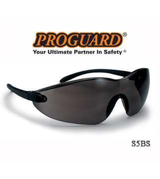 Kính bảo hộ an toàn Proguard S5BS